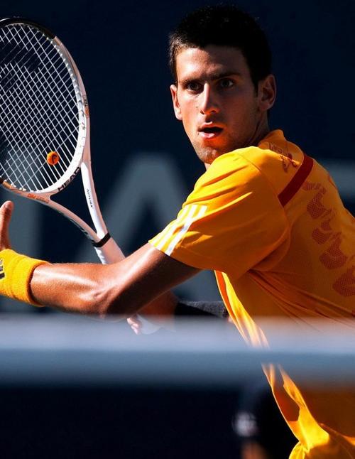 多特蒙德的 多特蒙德的